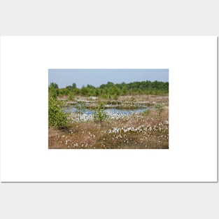 Neustädter Moor, floating grass, Lower Saxony, Germany Posters and Art